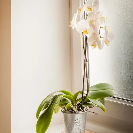 Il Etait Fois Chez Moi La Augustin Frühstückspension